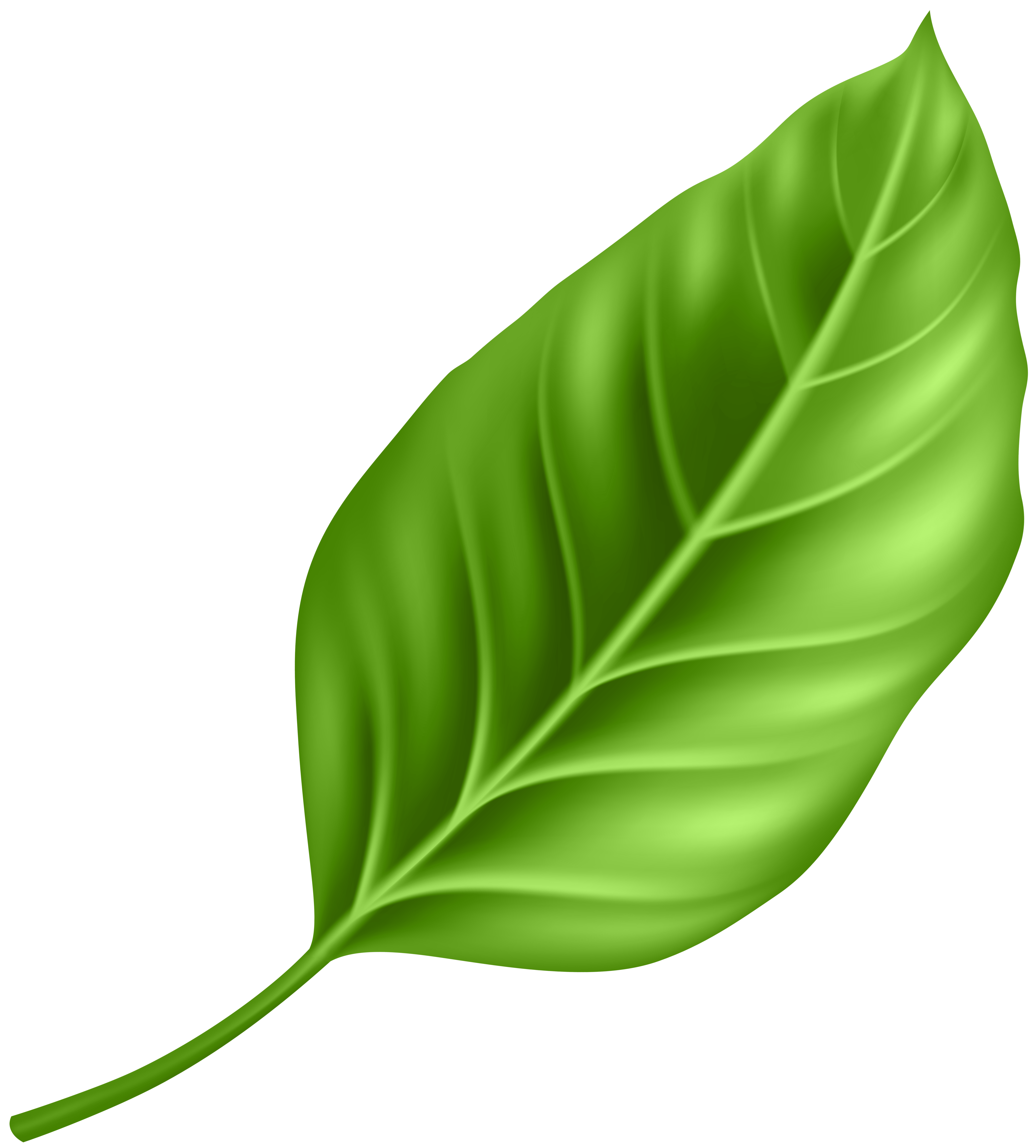 Decorative leaf